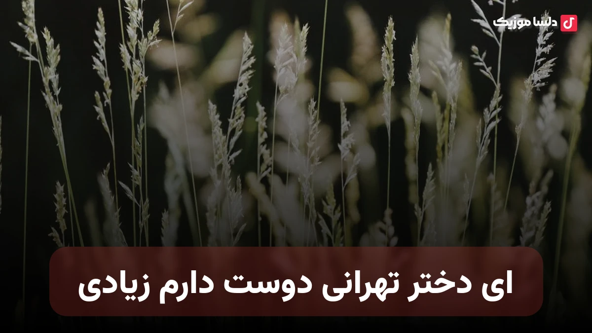ای دختر تهرانی دوست دارم زیادی با صدای زن